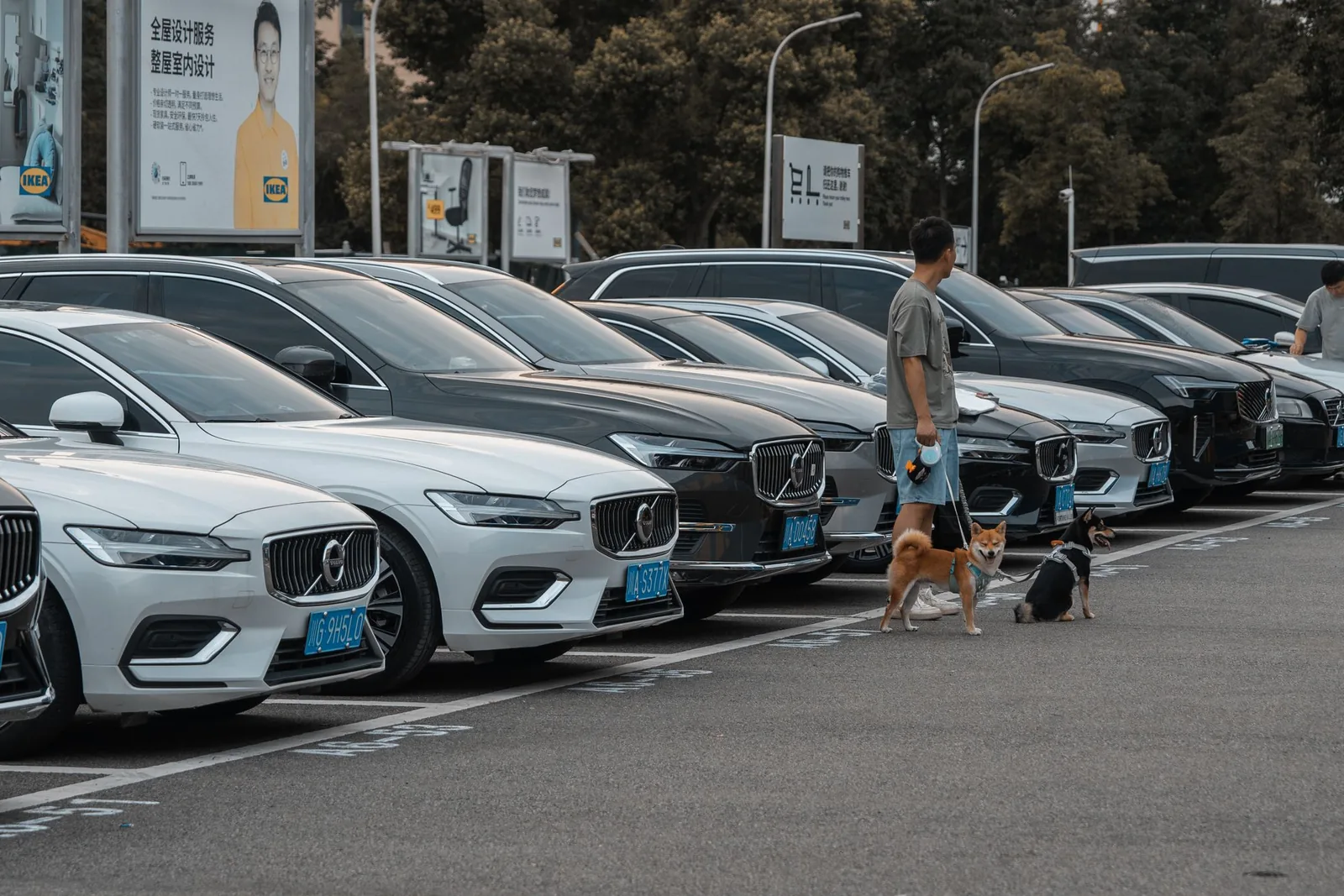 Comment choisir une voiture d’occasion : guide pratique