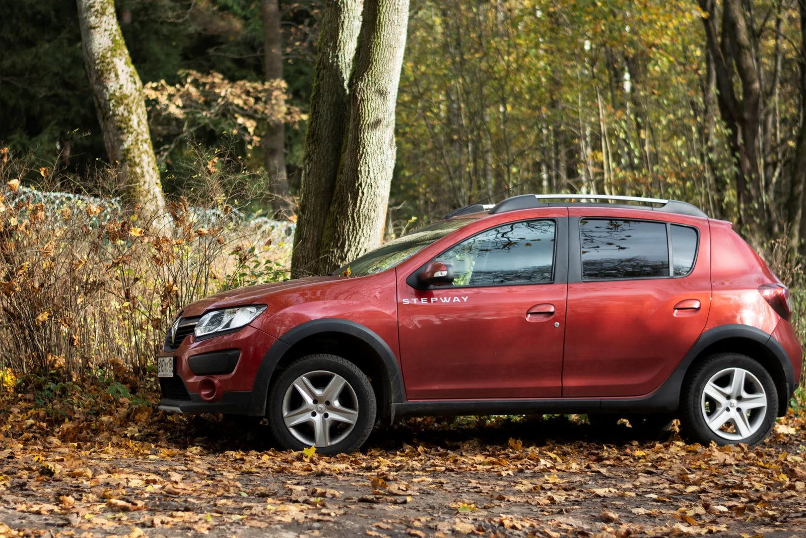 Renault ou Dacia : quelle petite voiture économique choisir